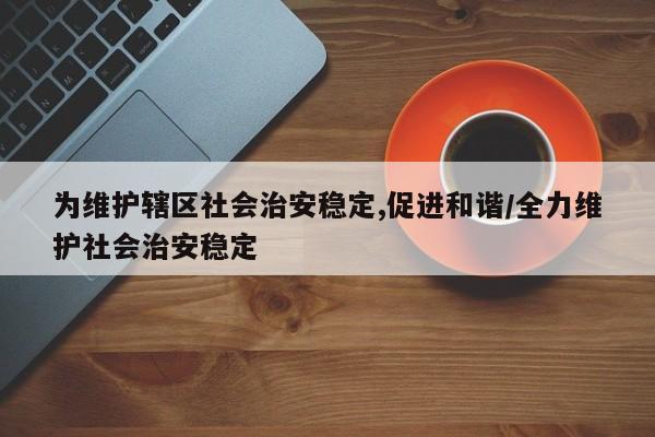 为维护辖区社会治安稳定,促进和谐/全力维护社会治安稳定