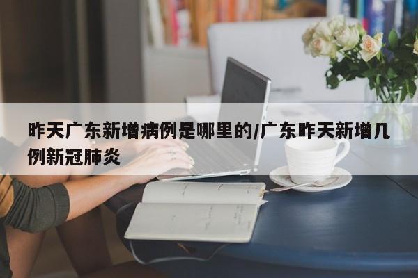 昨天广东新增病例是哪里的/广东昨天新增几例新冠肺炎