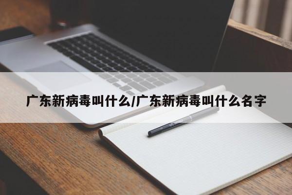 广东新病毒叫什么/广东新病毒叫什么名字